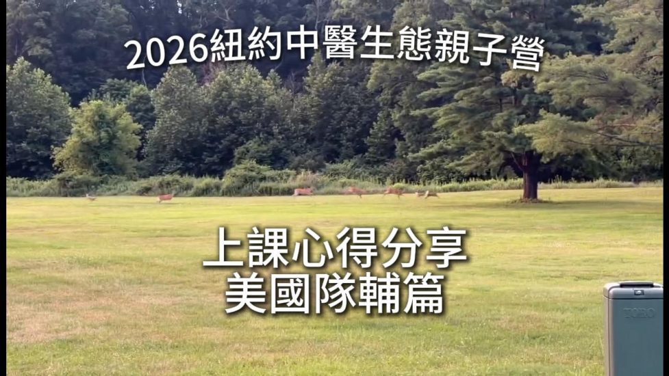 隊輔篇-封面